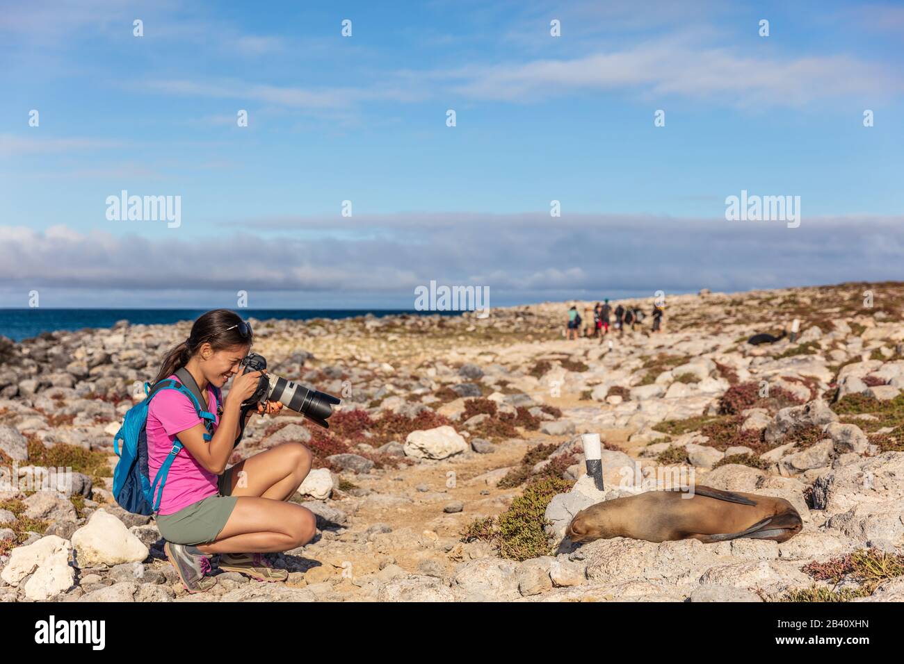 Galapagos touriste prenant des photos de Galapagos Sea Lion sur l'île de Seymour Nord, les îles Galapagos. Animaux et faune incroyables pendant les vacances en bateau de croisière de Galapagos Banque D'Images
