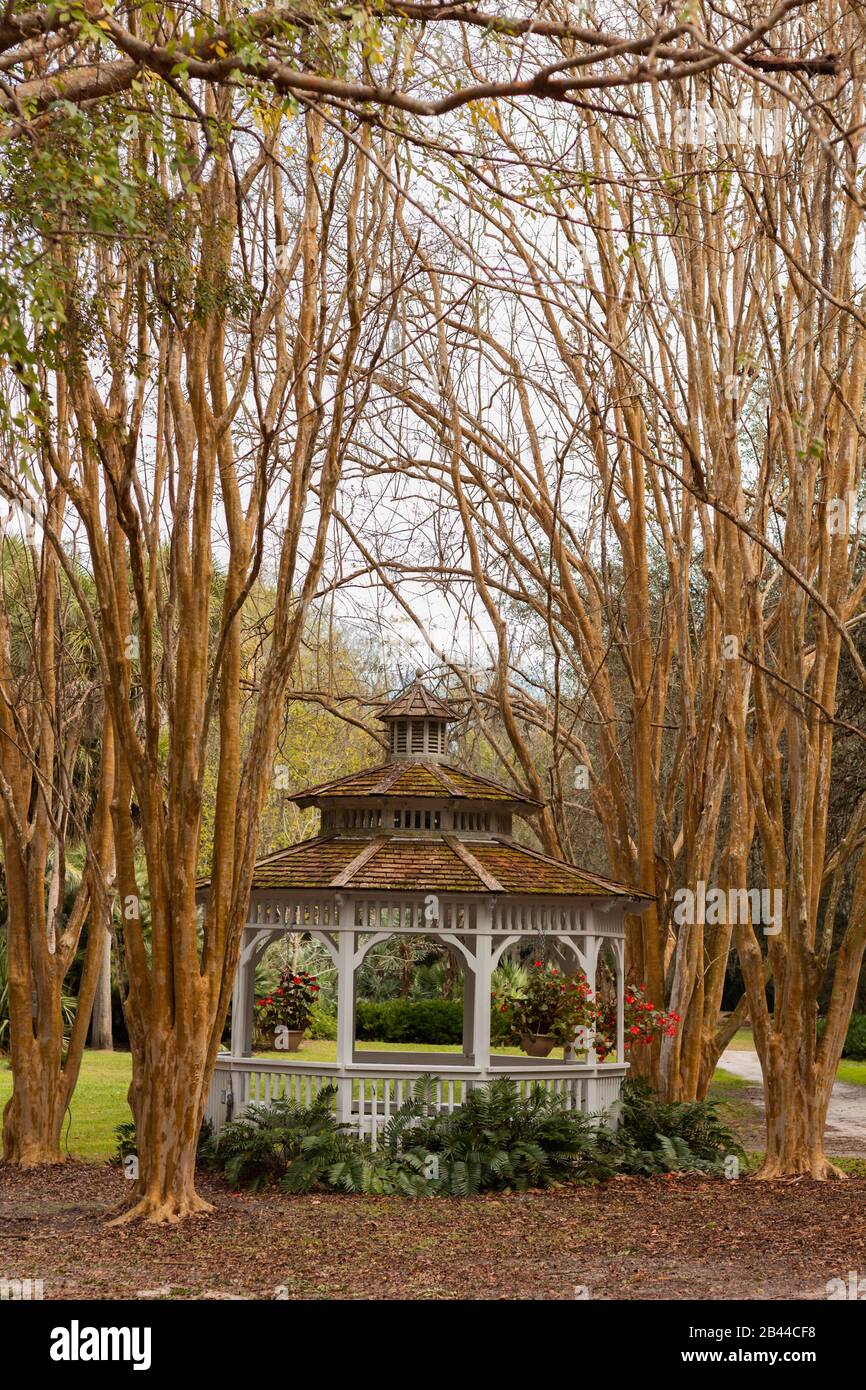 Cabane rustique de mariage en plein air, couverte dans les branches d'arbres. Banque D'Images