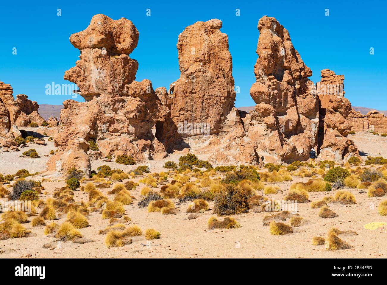 Valle de Rocas ou Stone Valley dans la région plate de sel d'Uyuni, Bolivie. Banque D'Images