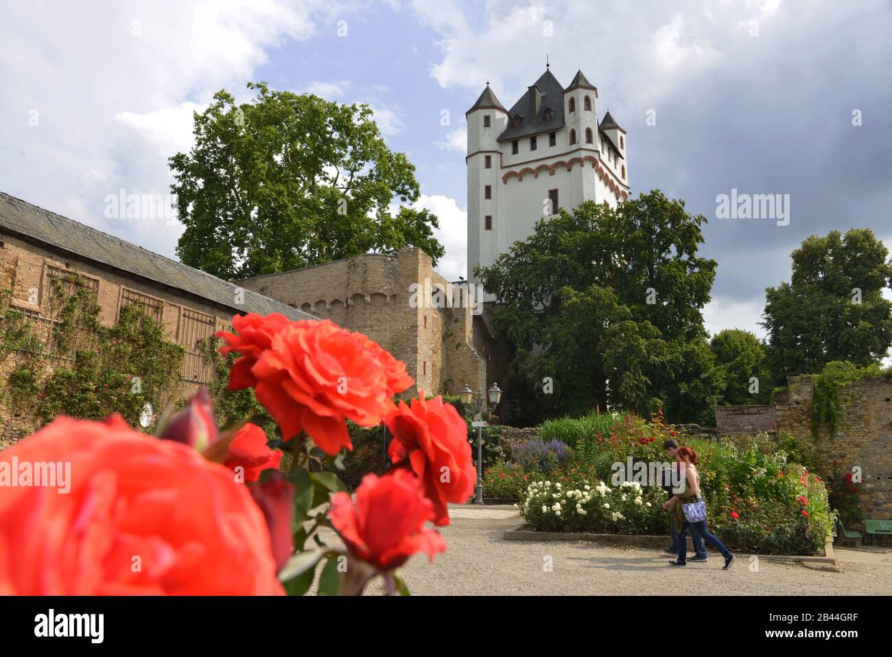 Burg, Eltville, Hessen, Allemagne Banque D'Images