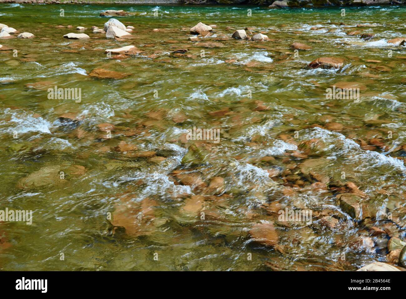 paysage, belle vue sur la rivière de montagne en été, eau et rochers à écoulement rapide, nature sauvage Banque D'Images