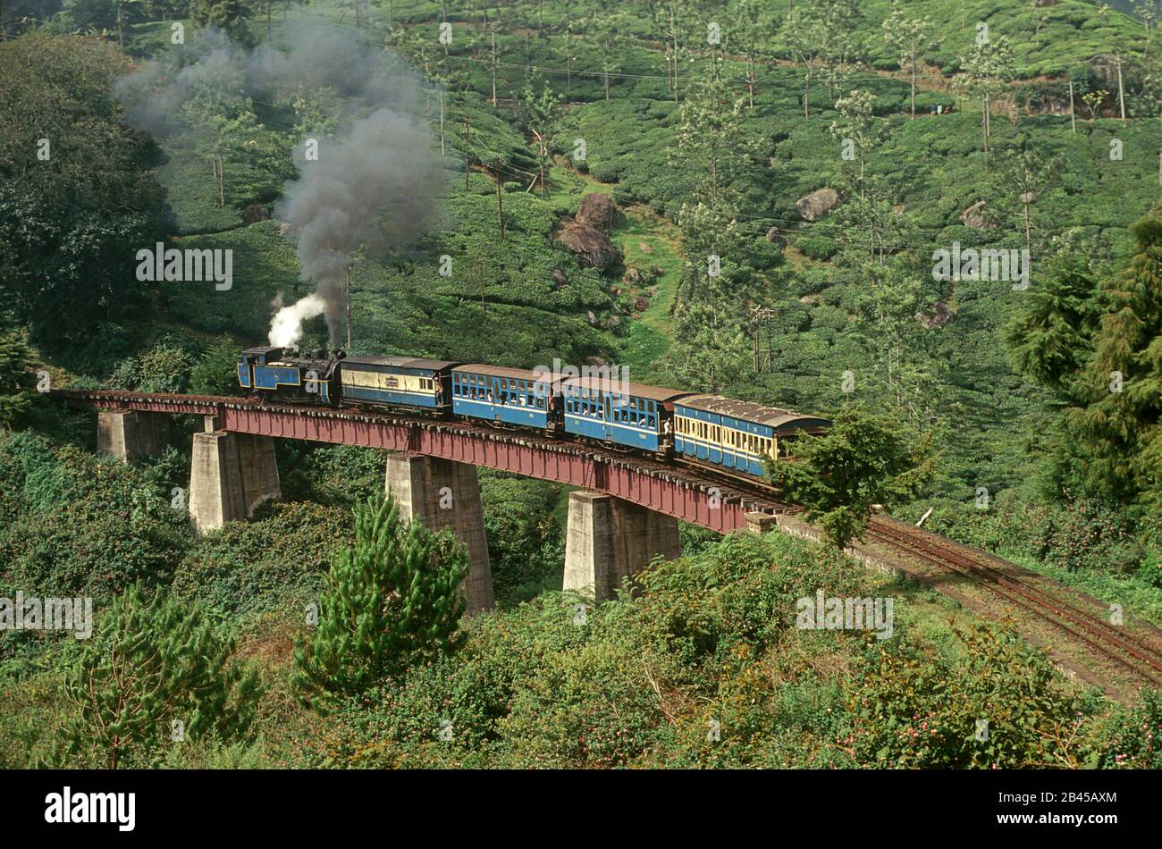 Trains Railways, train nilgiri est en train entre mettuppalayam ane ooty depuis 100 ans, tamil nadu, Inde, Asie Banque D'Images