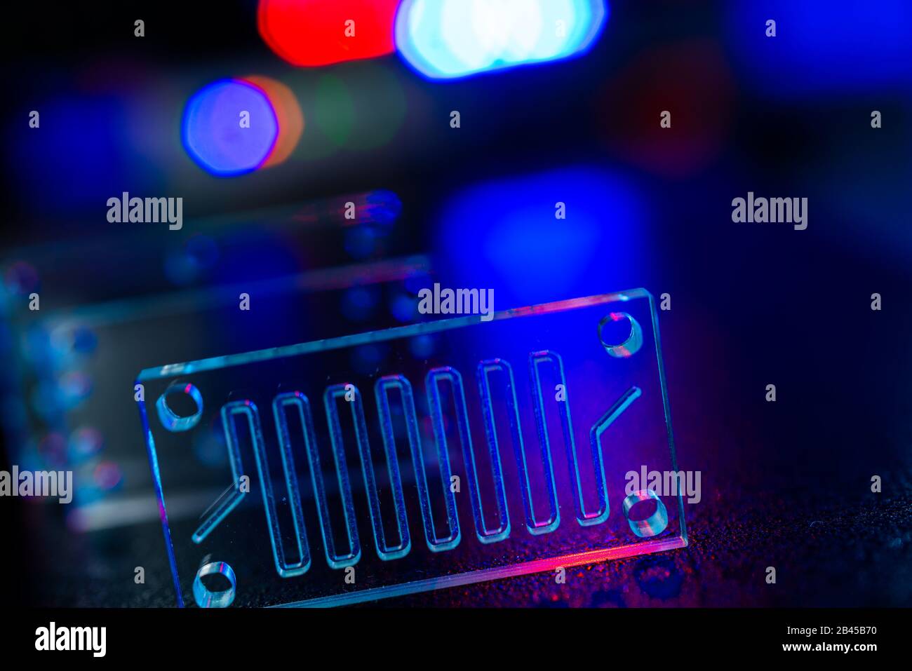 Organe-sur-puce (OOC) - dispositif microfluidique puce qui simule les organes biologiques c'est le type d'organes artificiels. Conception de prototypes de laboratoires sur puce Banque D'Images