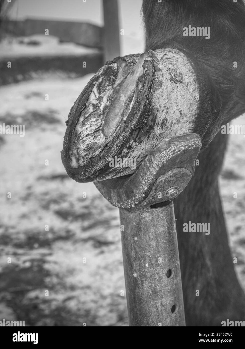 ADAPTATEUR ROTATIF DE Montage De Sabot Froid Avec Clip De TéLéPhone