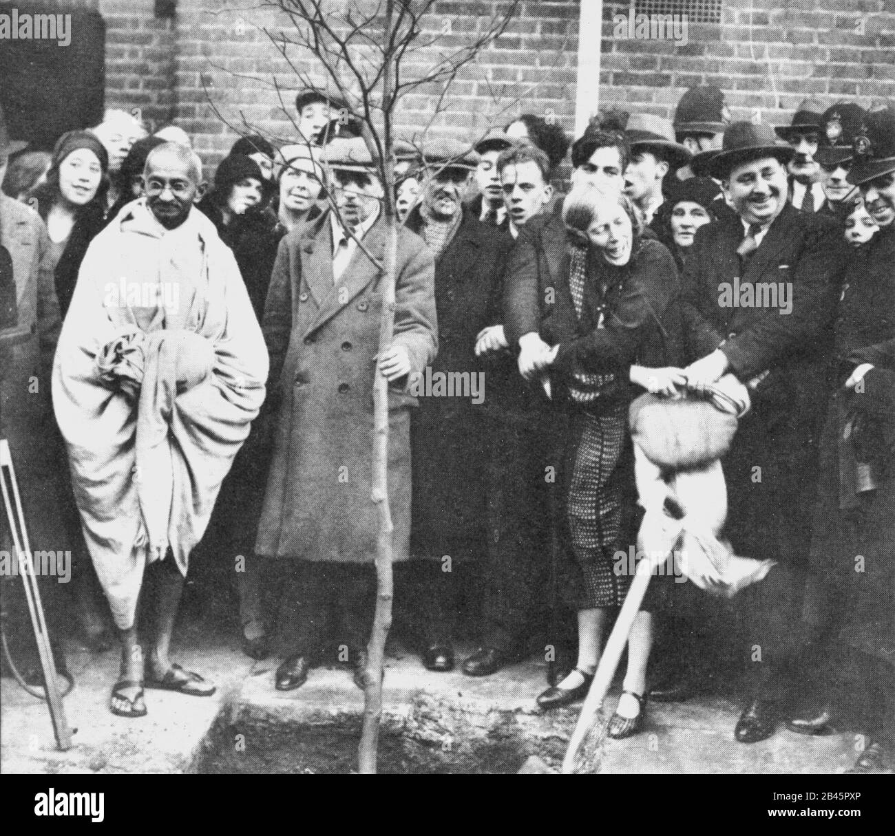 Mahatma Gandhi planter arbre à l'extérieur de Kingsley Hall, East End, Londres, Angleterre, 3 décembre 1931 la seconde Guerre mondiale a replanté Lady Attenborough 1984 Banque D'Images