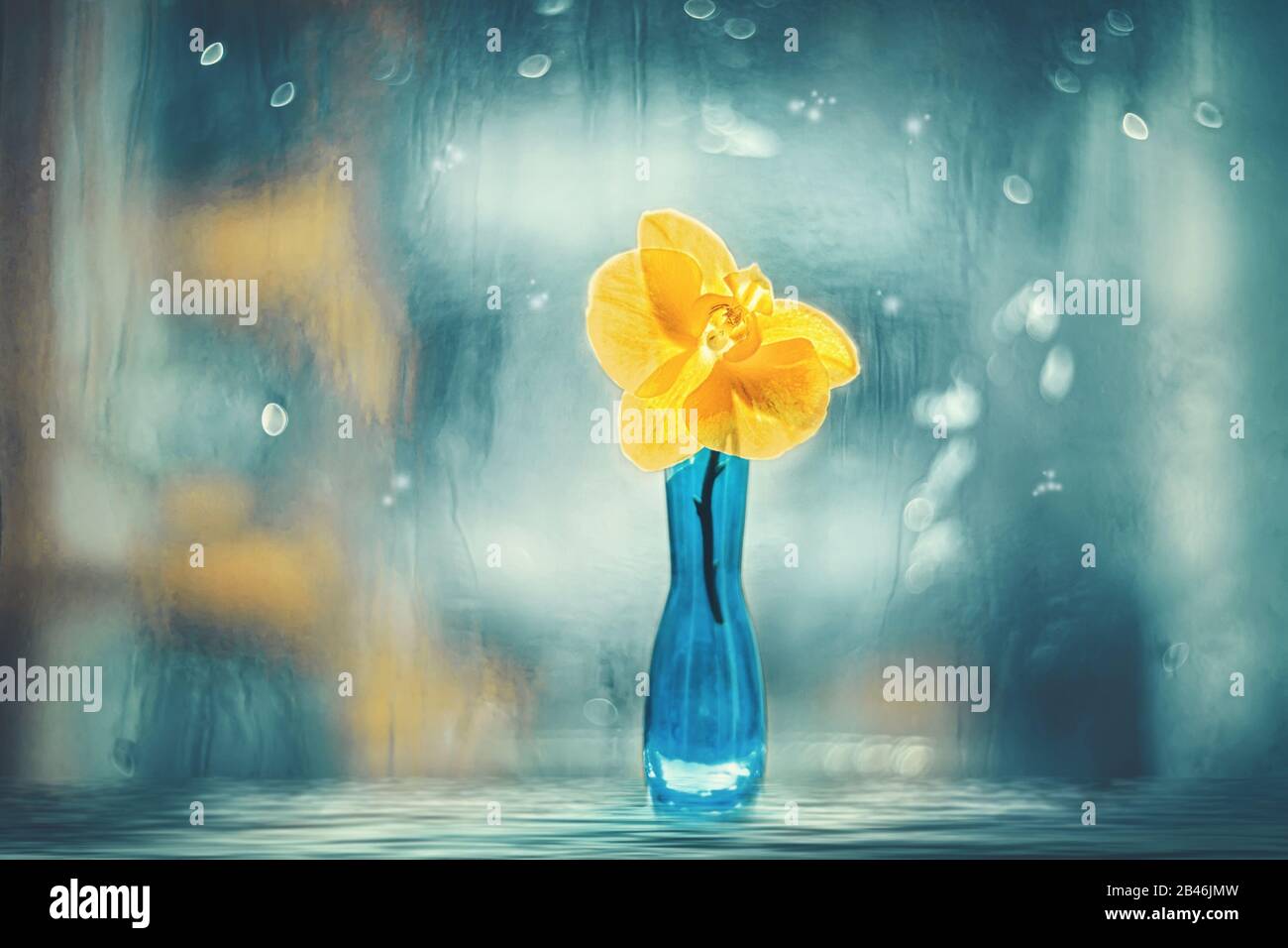 Orchidées roses et blanches dans un vase en verre bleu sur fond crème. Banque D'Images