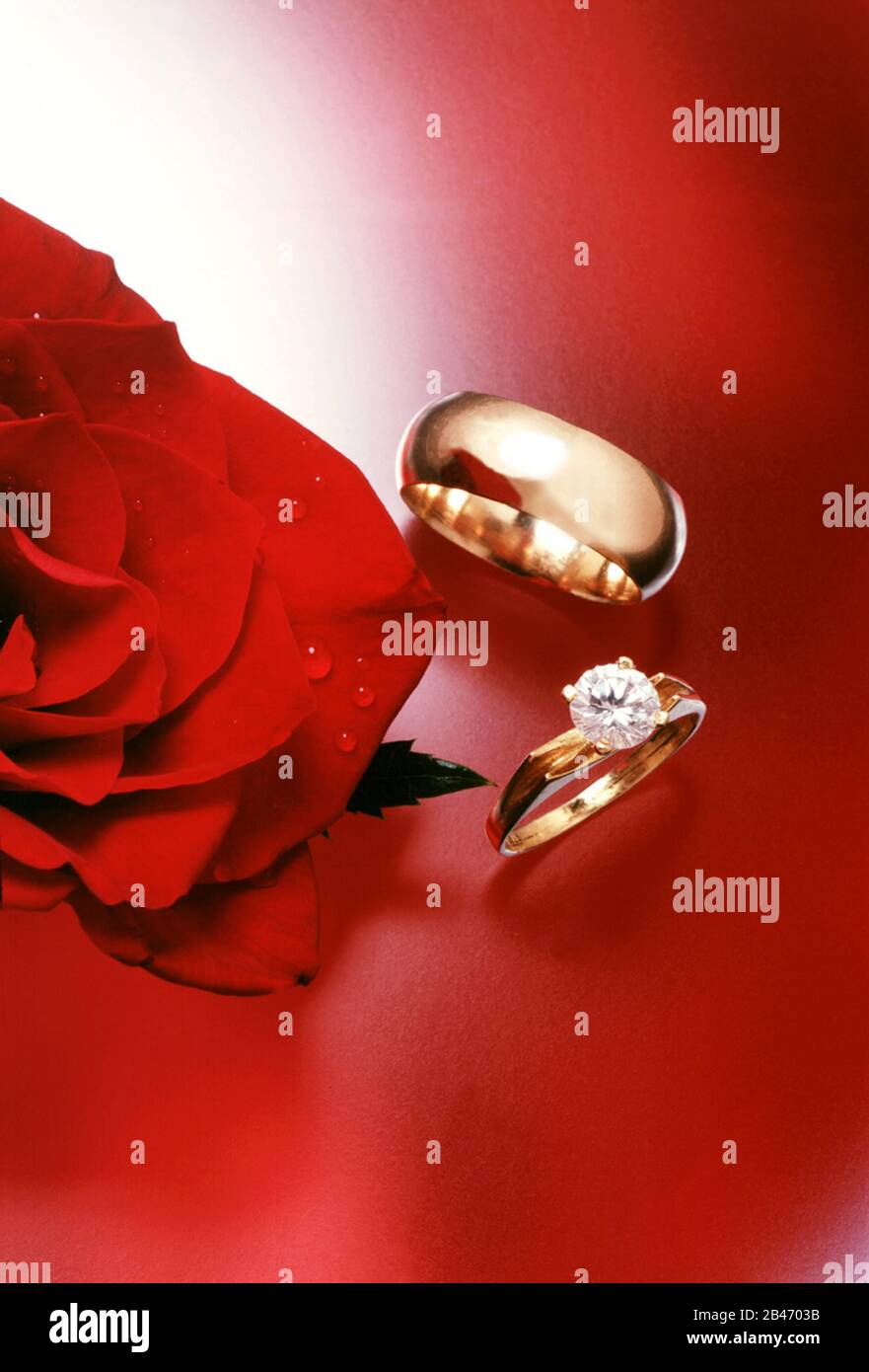 Bague Banque D'Images