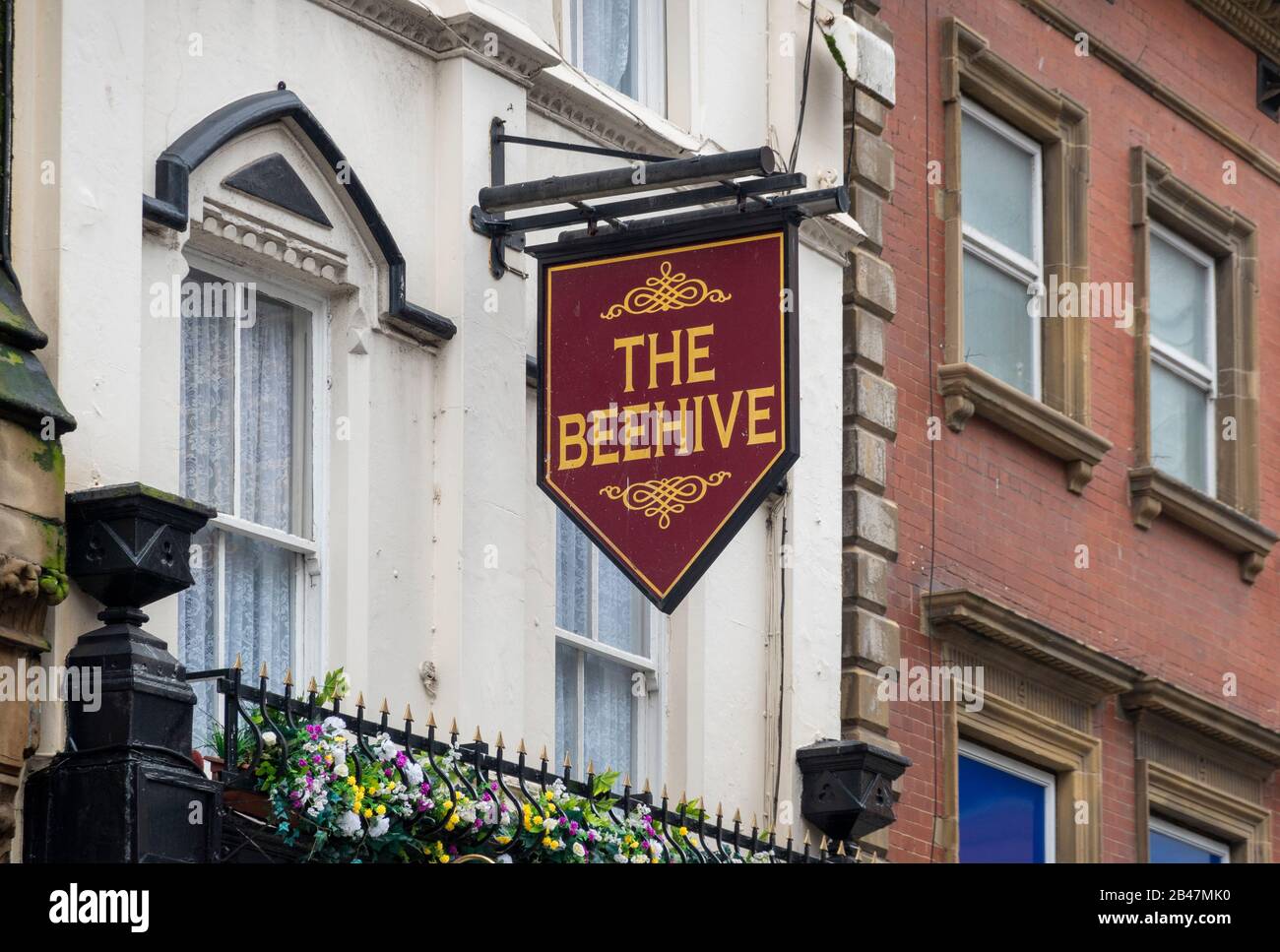 Le pub Beehive dans le centre-ville de Liverpool Banque D'Images