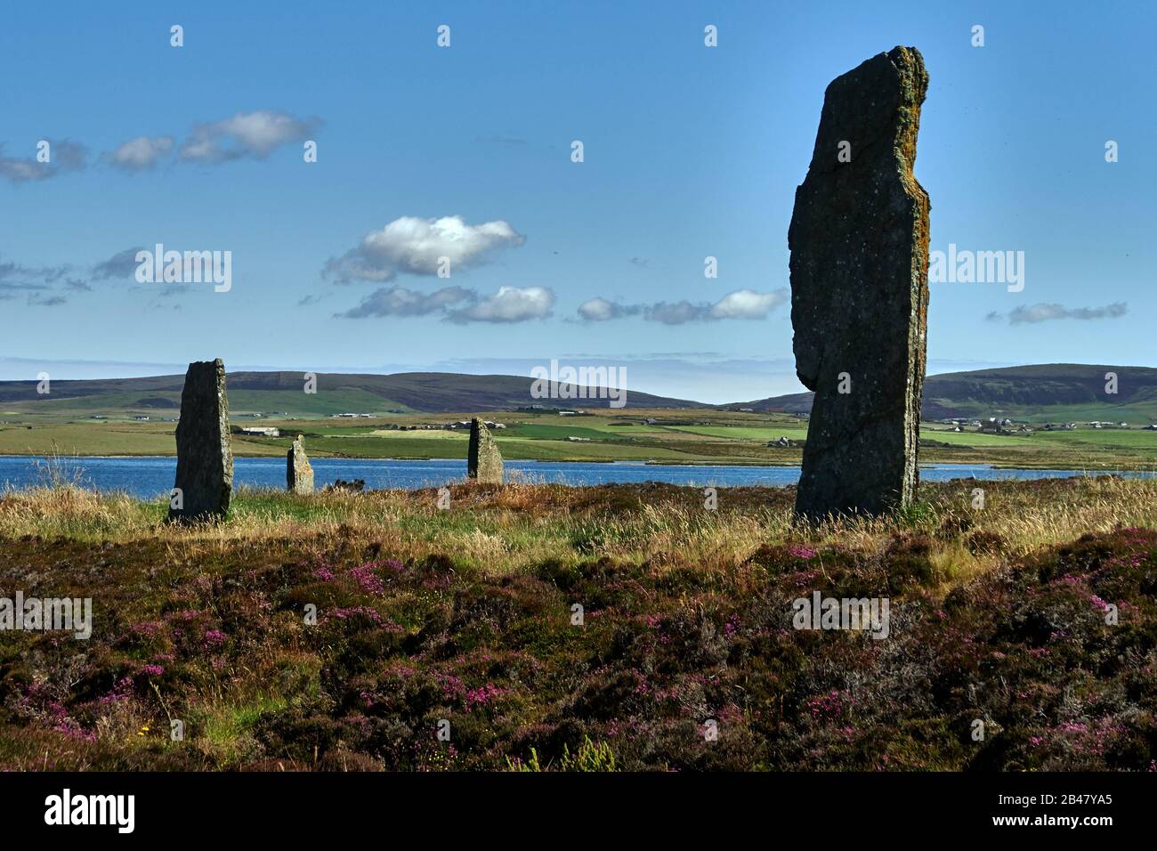 Royaume-Uni, Écosse, Orkney Islands est un archipel dans les îles du Nord de l'Écosse, dans l'océan Atlantique, il a d'anciennes pierres de l'anneau de Brodgar dans les îles Orkney au large de la côte nord de l'Écosse. Ce monument au coeur du site du patrimoine mondial de l'Orkney néolithique aurait été construit entre 4000 et 4500 ans auparavant. Construit à l'origine avec soixante pierres dans un cercle de plus de 100 mètres de travers, moins de la moitié des pierres restent debout. La plus haute des pierres mesure un peu plus de 4,5 mètres (15 pieds) de hauteur Banque D'Images