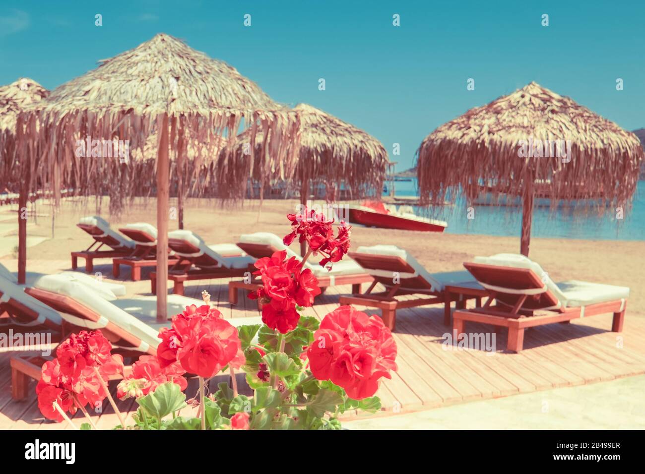 Vue abstraite sur un paysage de plage incroyable avec un parasol près de la mer Egée azure. Fleurs vives devant. Paradis méditerranéen en Grèce. Voyage Banque D'Images