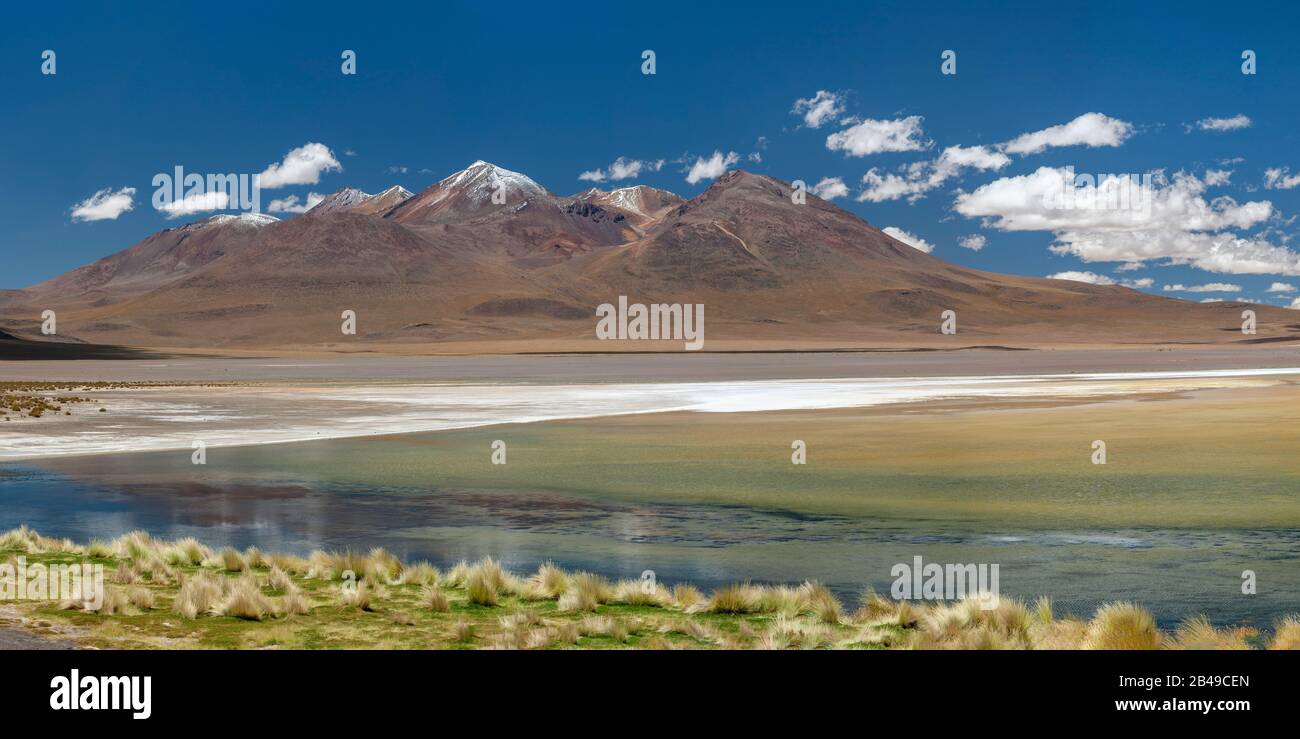 Laguna Canapa dans l'Altiplano andin du sud de la Bolivie. Banque D'Images