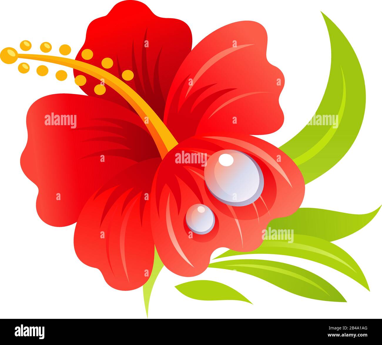 Illustration de la fleur rouge, avec vecteur de fond blanc Illustration de Vecteur