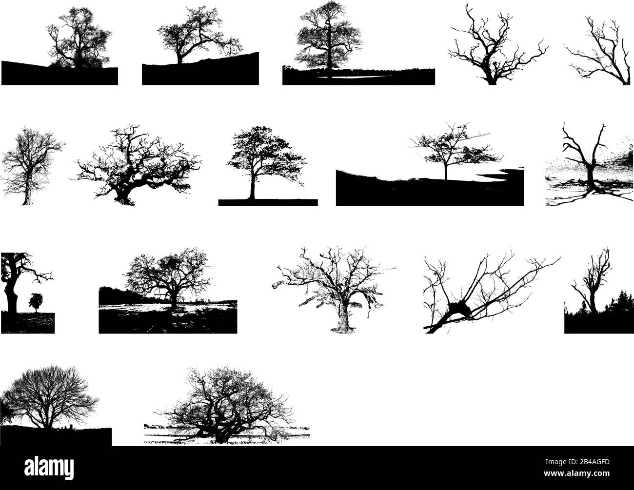 Illustration d'arbres, avec vecteur d'arrière-plan blanc Illustration de Vecteur