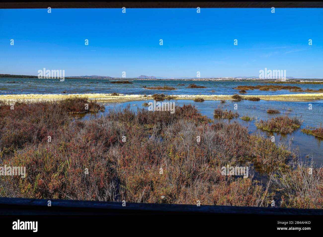 Réserve d'oiseaux à la Laguna Salada de la Mata, Torrevieja, Costa Blanca, Espagne Banque D'Images