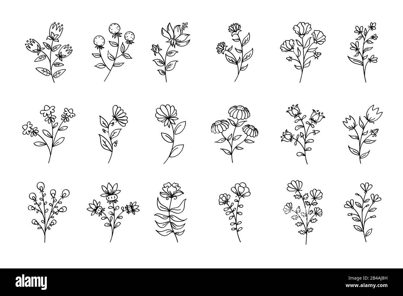 Ensemble de fleurs, fleurs d'art de ligne noire, illustrations florales vectorielles, dessins de fleurs, dessin de ligne, ensemble floral stylisé artistique Banque D'Images