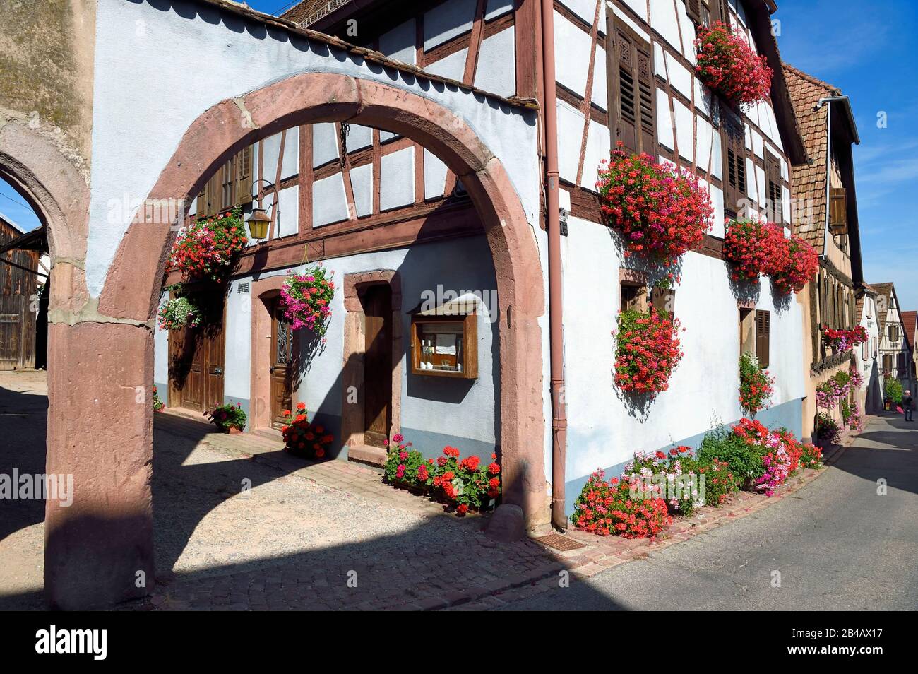 La France, le Haut Rhin, la route des vins d'Alsace, Hunawihr, a labellisé Les Plus Beaux Villages de France, maison de vigneron dans la rue principale Banque D'Images