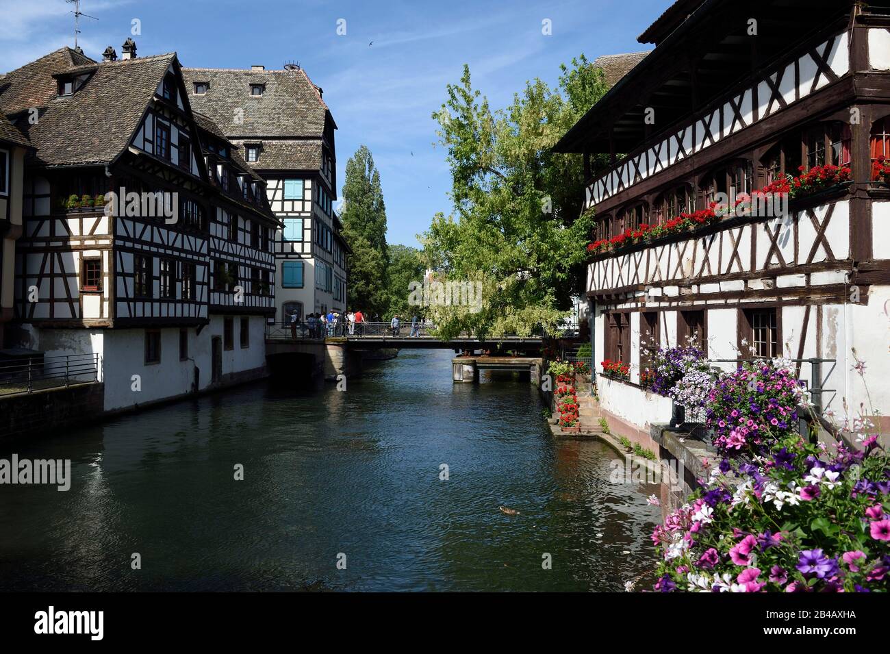 France, Bas Rhin, Strasbourg, vieille ville classée au patrimoine mondial par l'UNESCO, la petite France District, le Pont du Faisan sur La Rivière Ill et la Maison des Tanneurs à partir de 1572 (restaurant) sur la droite Banque D'Images