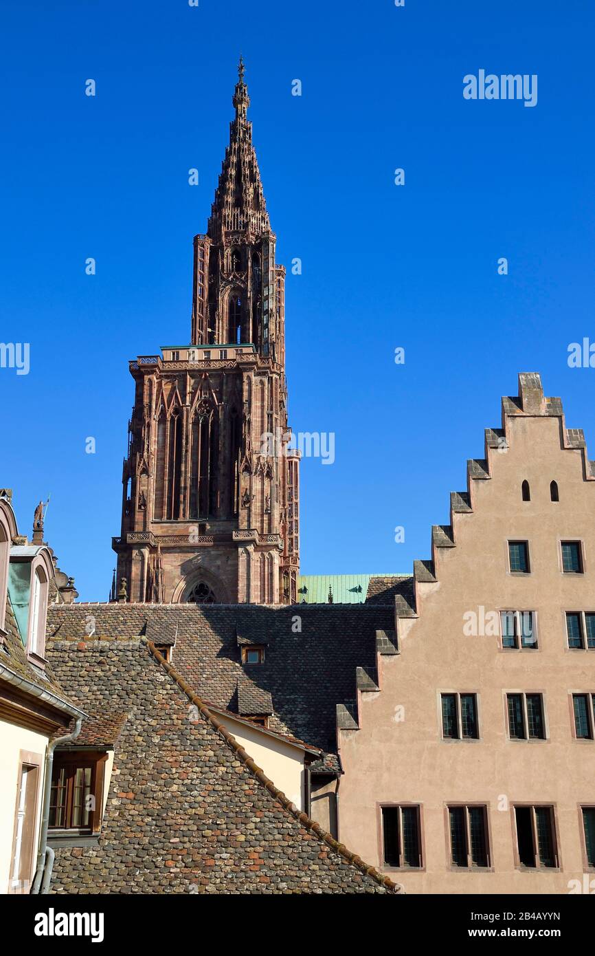 France, Bas-Rhin, Strasbourg, vieille ville classée au patrimoine mondial de l'UNESCO, cathédrale notre-Dame derrière les bâtiments de la Fondation de L'Oeuvre notre-Dame avec pignon à étages Banque D'Images