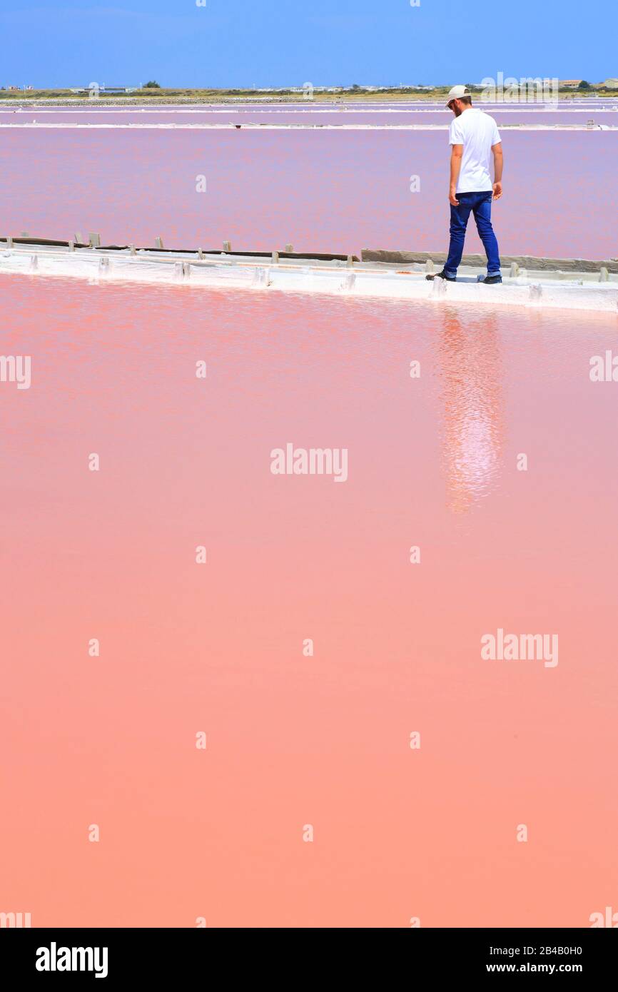 France, Aude, Gruissan, salin de l'Ile Saint Martin, le sel est exploité ici depuis l'Antiquité, la couleur des piscines est due à une algue halophile, un ouvrier du sel au travail Banque D'Images