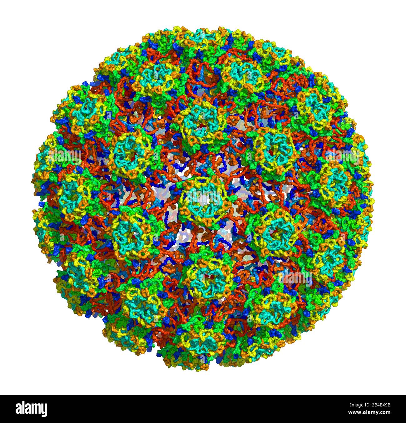 Structure tridimensionnelle du papillomavirus humain de type 16, associée aux cancers. BOÎTIER DE DISTRIBUTION ÉLECTRIQUE 3 J 6 R. Banque D'Images