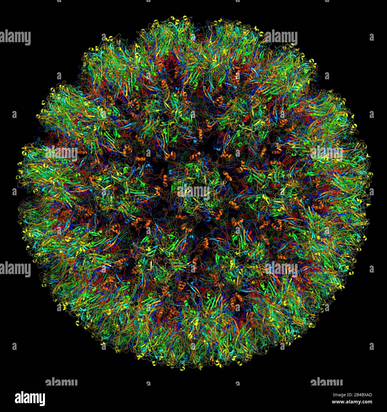 Structure tridimensionnelle du papillomavirus humain de type 16, associée aux cancers. BOÎTIER DE DISTRIBUTION ÉLECTRIQUE 3 J 6 R. Banque D'Images