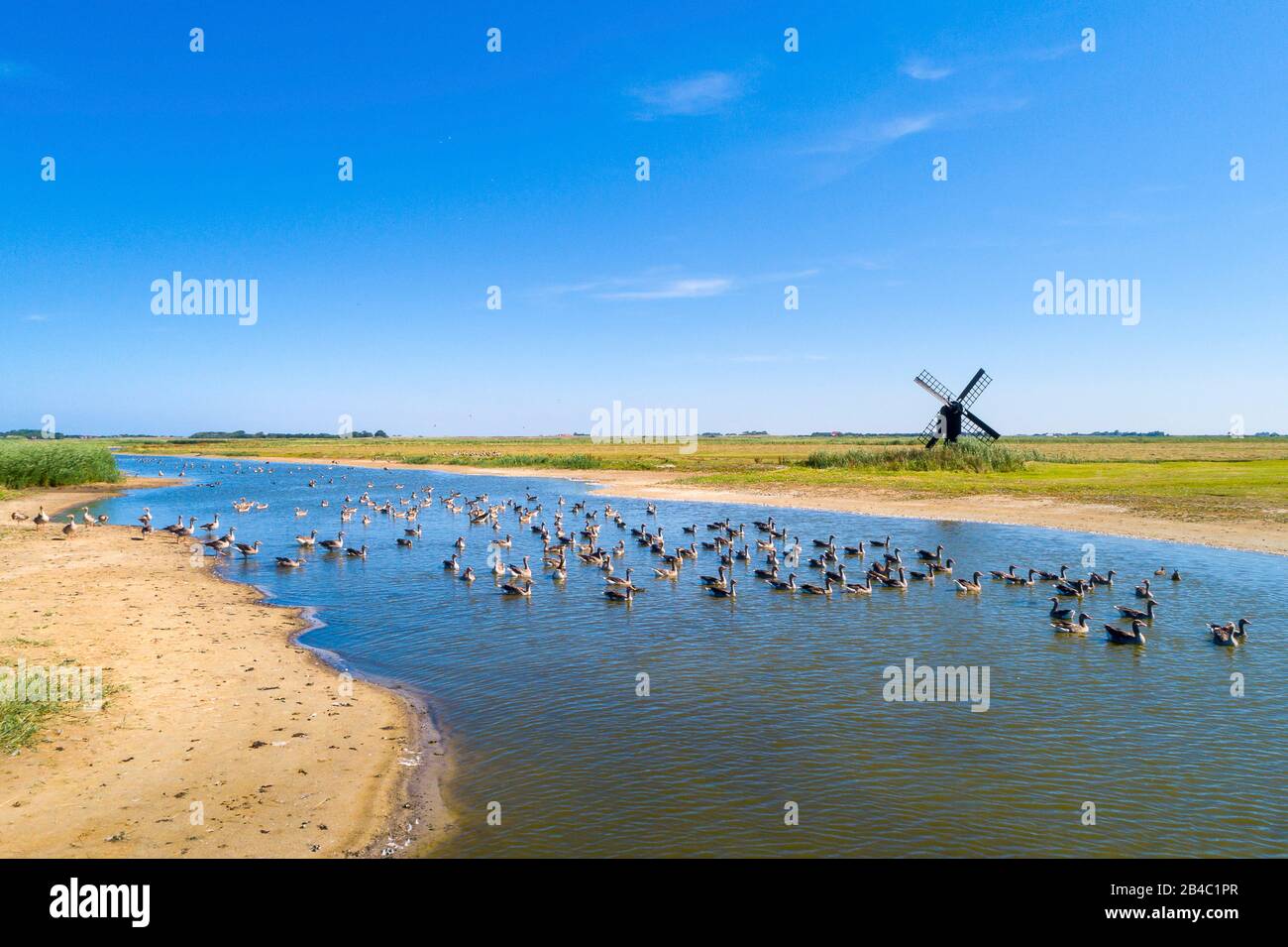 Petit moulin sur l'île néerlandaise Texel Banque D'Images