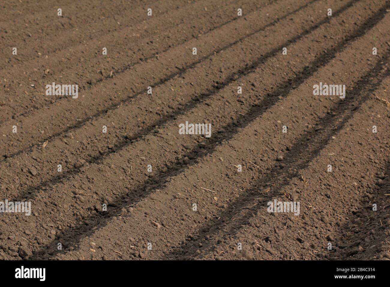 Sol fertile comme base pour une culture agricole fonctionnelle Banque D'Images