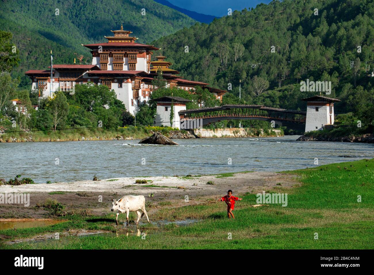 Monastère de Punakha Dzong, les montagnes de l'Himalaya du Bhoutan Construites à l'origine en 1300. Site sacré du peuple bhoutanais sur les rivières Phochu et Mochu, Blue-gree Banque D'Images