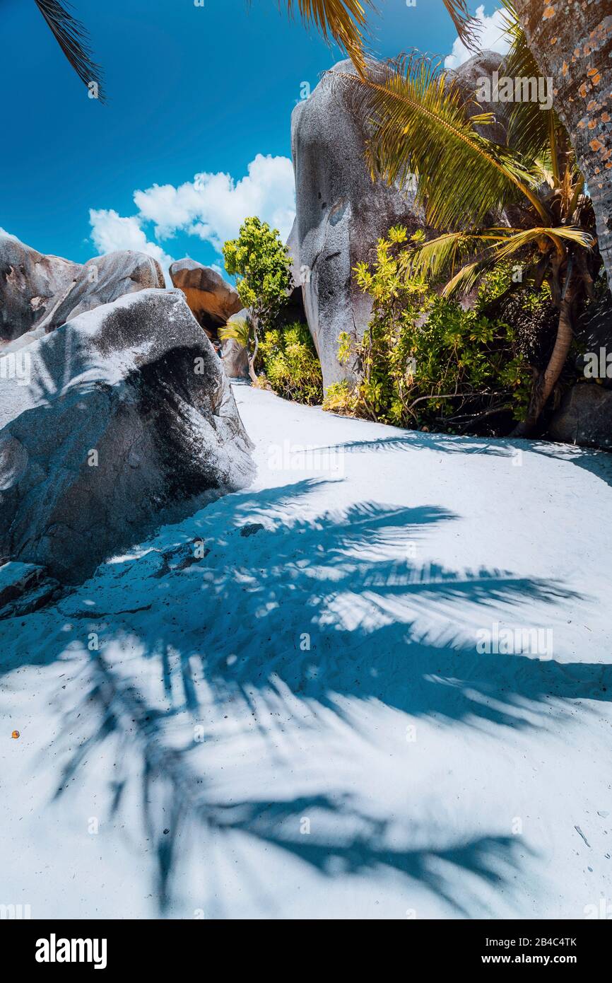 Sentier de randonnée le long de la plage entre des rochers géants de granit sur l'Anse Source d'argent, l'île de la Digue aux Seychelles. Ombre contrastée des feuilles de palmier sur le sol. Concept de voyage de vacances. Banque D'Images