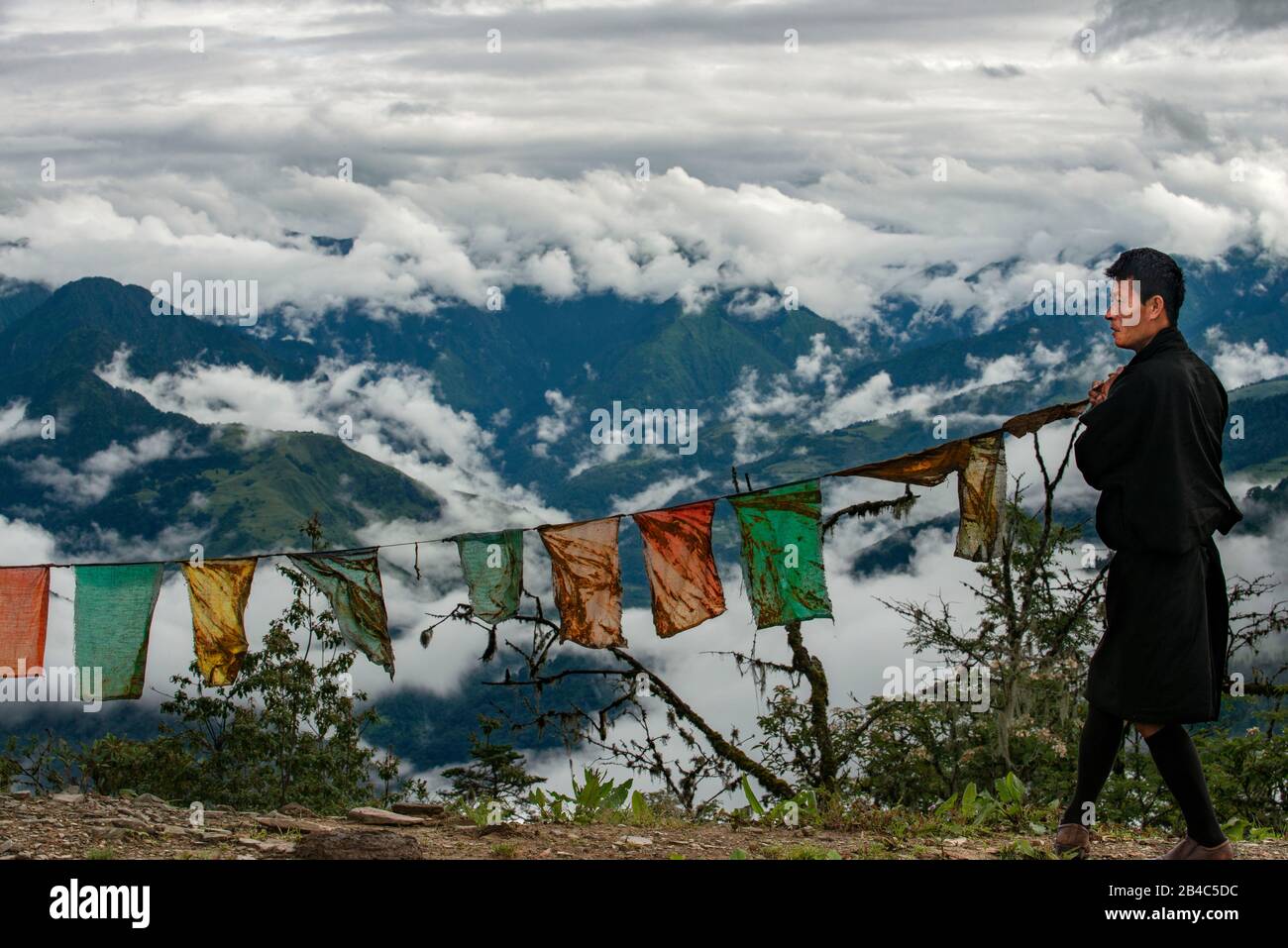 Brume Cloud paysage forestier entouré près de Yotong la Pass, Yotongla Pass, quartier de Bumthang, Bhoutan Banque D'Images