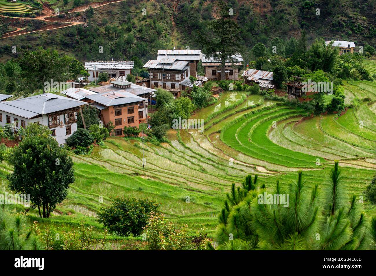 Vue panoramique sur la vallée de Lobesa en direction de la vallée de Wangdue Phodrang Punakha au Bhoutan. Banque D'Images