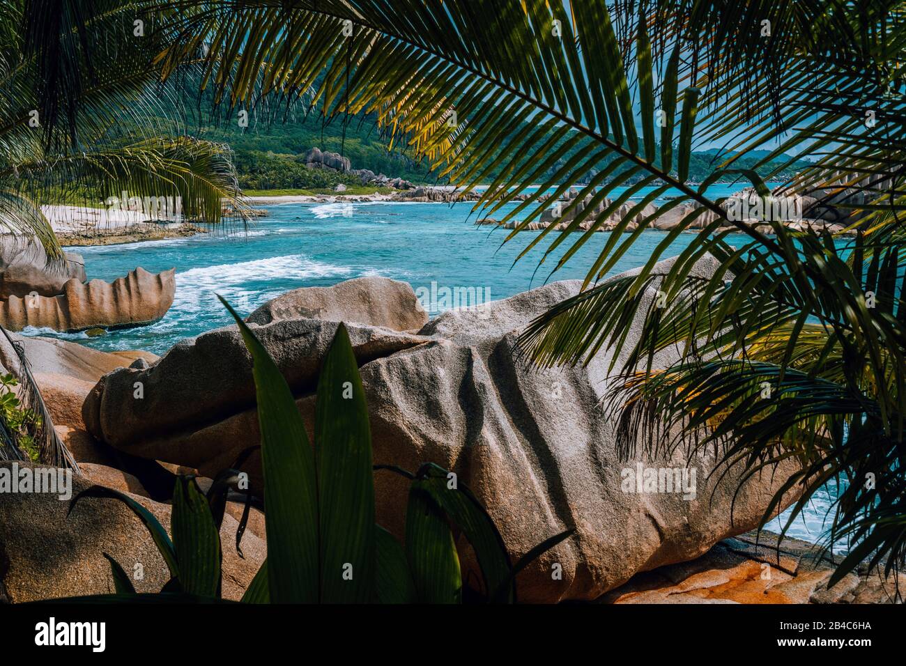 Magnifique paysage tropical de la plage de Grande l'Anse avec des palmiers sur la Digue aux Seychelles. Plage exotique avec mélange de sable de corail. Mise en surbrillance réelle. Banque D'Images