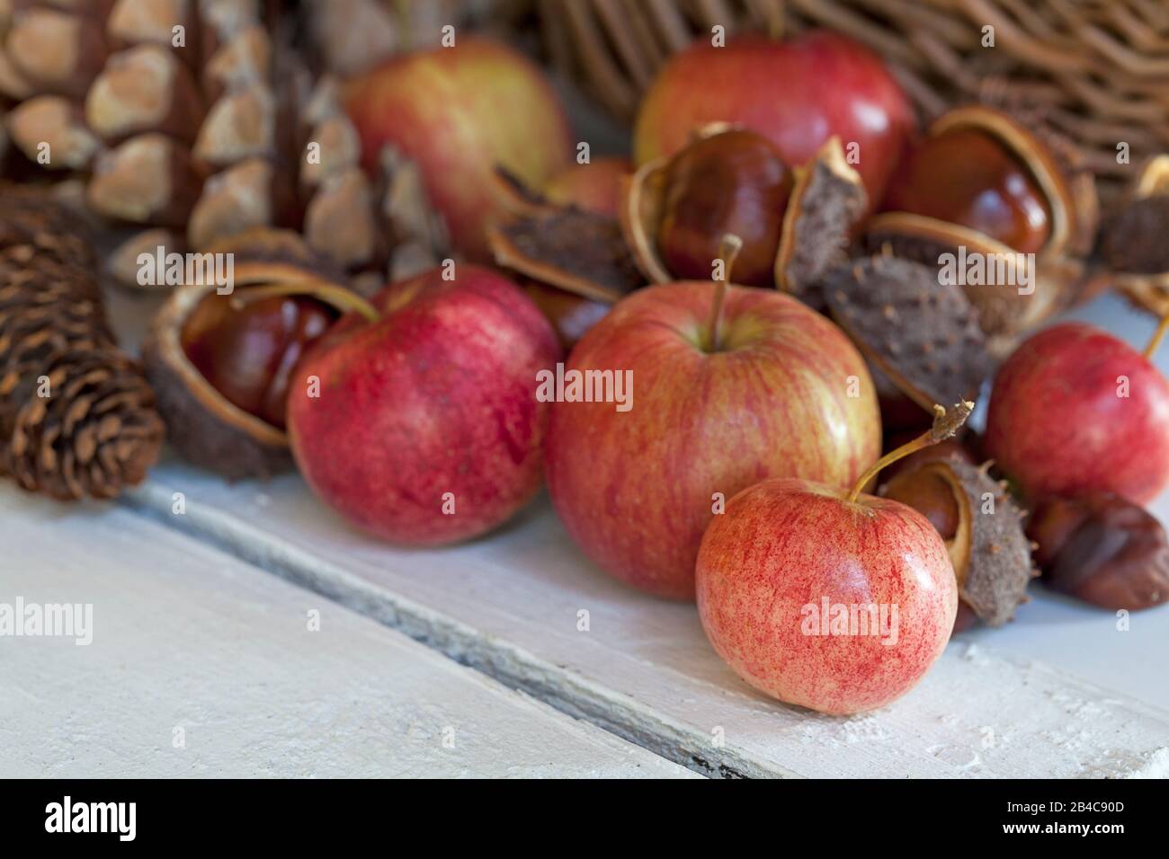 l'hiver rustique reste la vie avec des pommes et des cônes de pin Banque D'Images