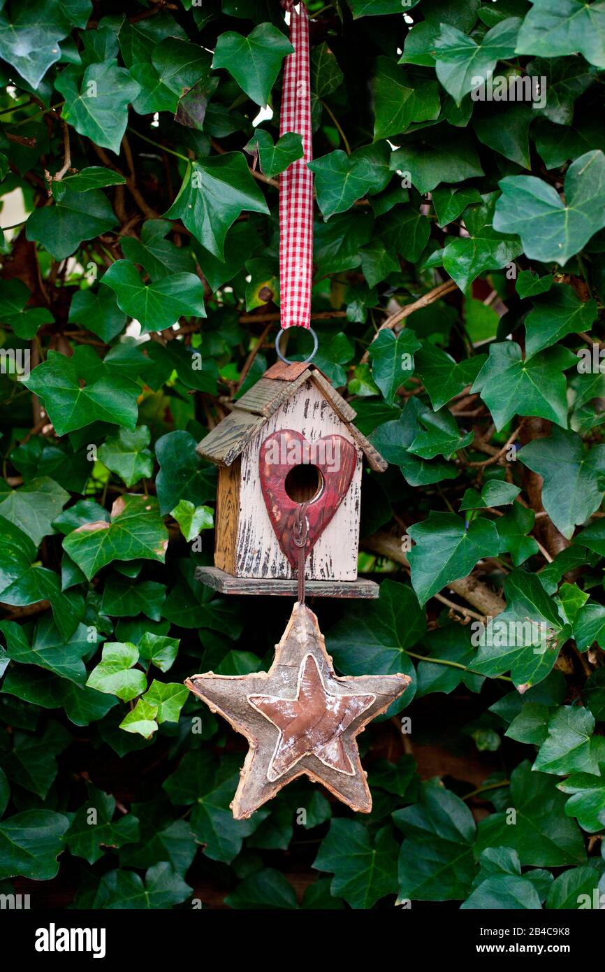 Petite maison d'oiseaux avec entrée en forme de coeur et étoile devant un mur couvert de lierre Banque D'Images