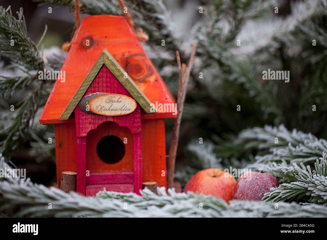 Jolie maison d'oiseaux rouge et orange avec panneau, pommes et branches de sapin givrées, signe dit Joyeux Noël en allemand Banque D'Images
