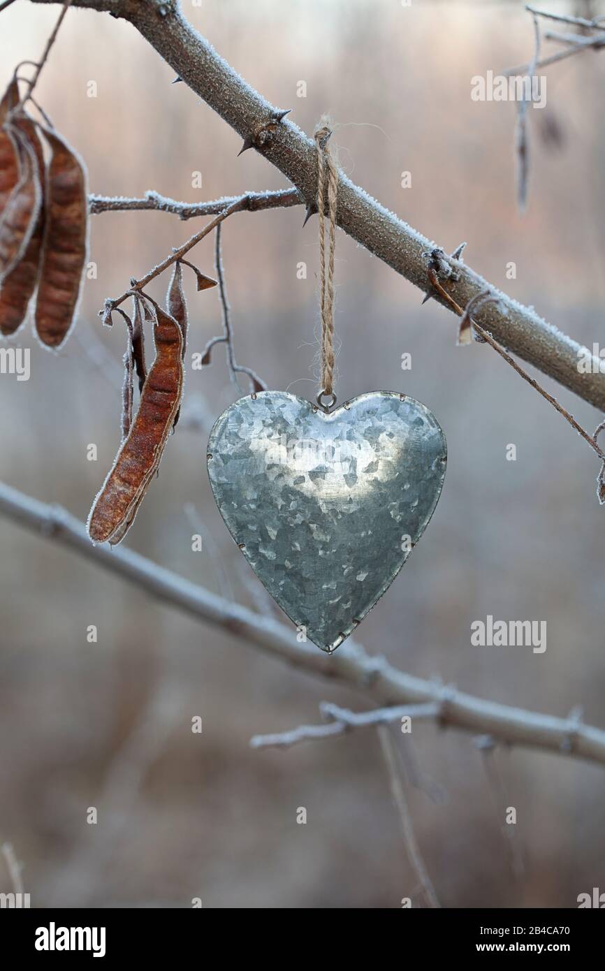décoration simple au coeur de l'étain accrochée à l'extérieur pendant une journée froide d'automne Banque D'Images