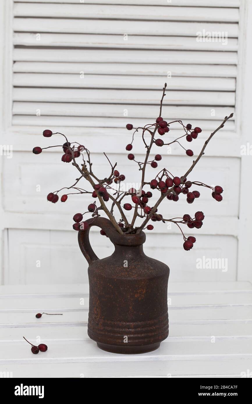 Un déocrement rustique d'hiver ou de Noël dans un intérieur blanc, avec des brindilles de baies rouges dans un vase marron Banque D'Images
