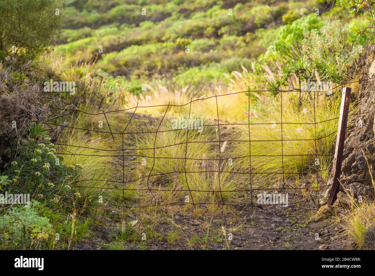 Espagne, Canaries, La Palma Island, Arenas Blancas, ranch gate Banque D'Images