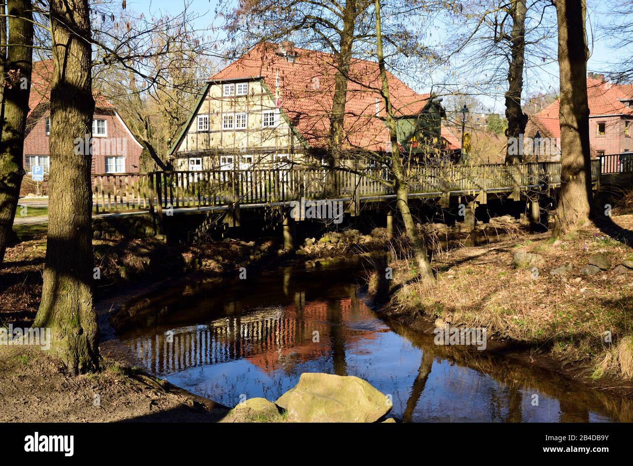 Europe, Allemagne, Basse-Saxe, Harburg district, Moisburg, Hambourg région métropolitaine, moulin à eau sur l'Este, printemps, pré avec des crocuses, Banque D'Images