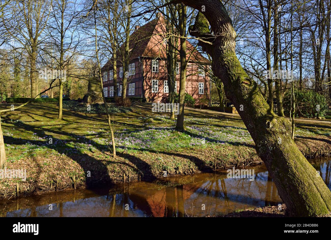 Europe, Allemagne, Basse-Saxe, Harburg district, Moisburg, Hambourg Metropolitan region, Amtshaus an der Este, printemps, prairie avec crocuses, Banque D'Images