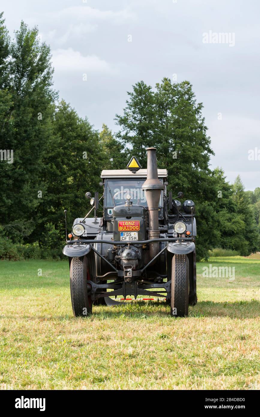 Bad König, Hesse, Allemagne, Lanz Bulldog Type D 9506 Ackerluft, au Bad Königer Classic Festival, 45 ch, construit en 1950, capacité moteur 10338, fabricant Heinrich Lanz AG de Mannheim Banque D'Images