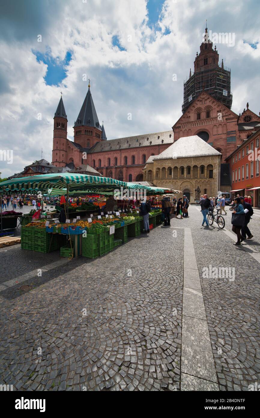 Étals de marché sur la place du marché, derrière eux Le Hohe Dom Sankt Martin zu Mainz, Rhénanie-Palatinat, Allemagne Banque D'Images