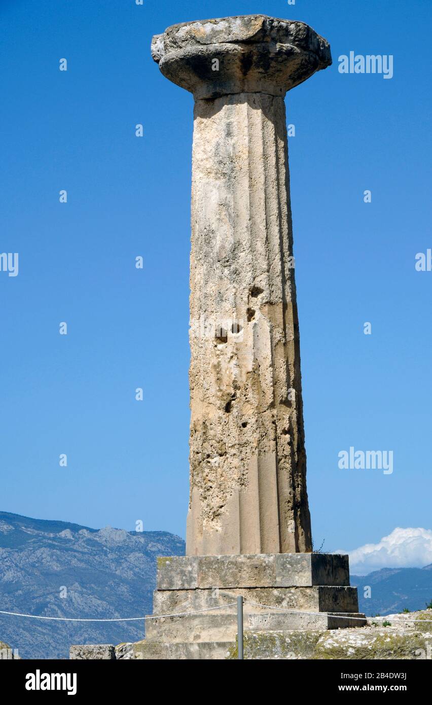 Grèce. Ancienne Corinthe. Temple Doric d'Apollon, c. 560 AV. J.-C. Reste de l'une de ses colonnes. Banque D'Images