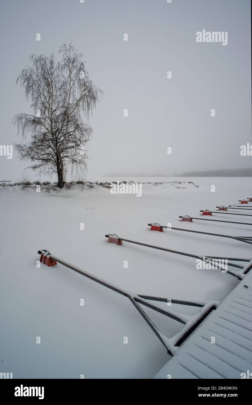 Amarres d'arbres et de bateaux, lac Tuusula, Finlande Banque D'Images