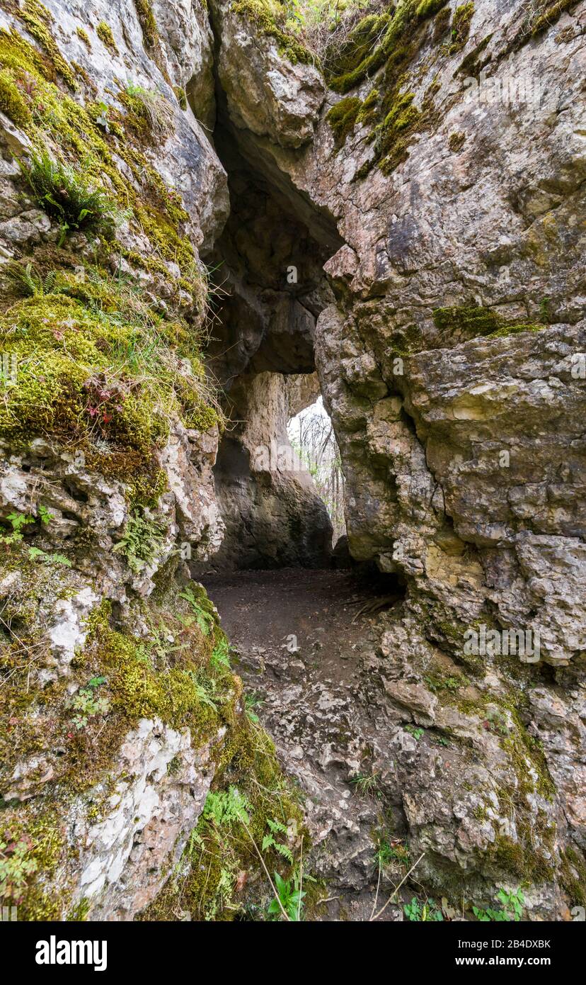 Allemagne, Bade-Wurtemberg, Burladingen - Stetten Unter Holstein, par grotte à Hohlen Stein, (EB 1 m, EH 4 m, L 6 m, B 3 m) Banque D'Images
