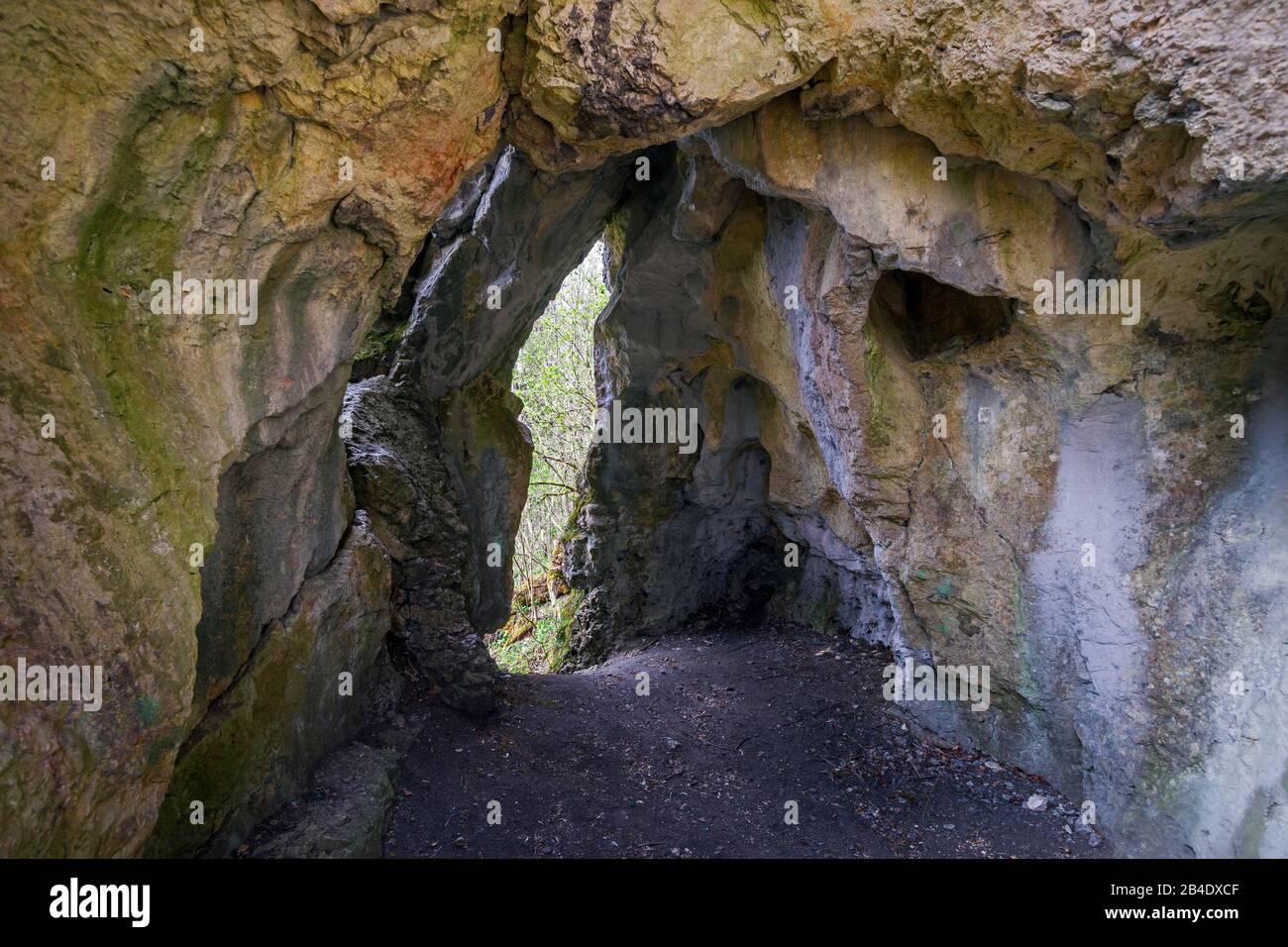 Allemagne, Bade-Wurtemberg, Burladingen - Stetten Unter Holstein, par grotte à Hohlen Stein, (EB 1 m, EH 4 m, L 6 m, B 3 m) Banque D'Images