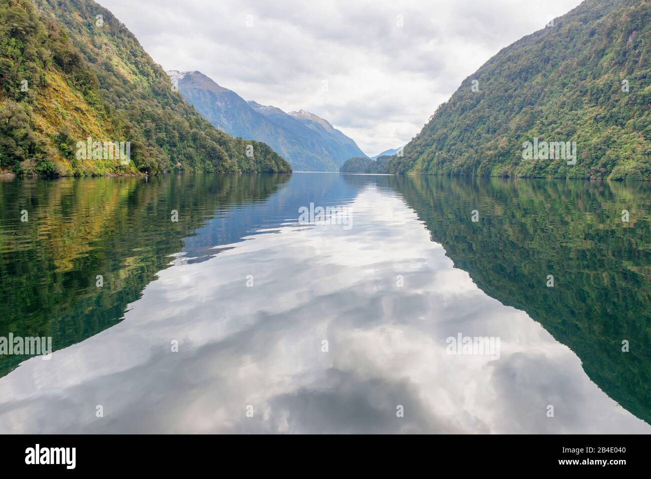 Douteux Sound, Parc National De Fiordland, Île Du Sud, Nouvelle-Zélande, Banque D'Images