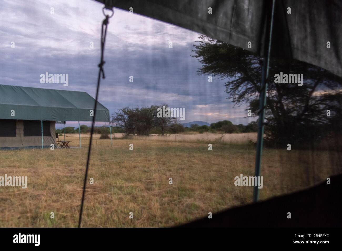 Un safari à pied, tente et jeep dans le nord de la Tanzanie à la fin de la saison des pluies en mai. Parcs Nationaux Serengeti, Cratère Ngorongoro, Tarangire, Arusha Et Le Lac Manyara. Réveillez-vous dans la tente : aube sur le Serengeti Banque D'Images