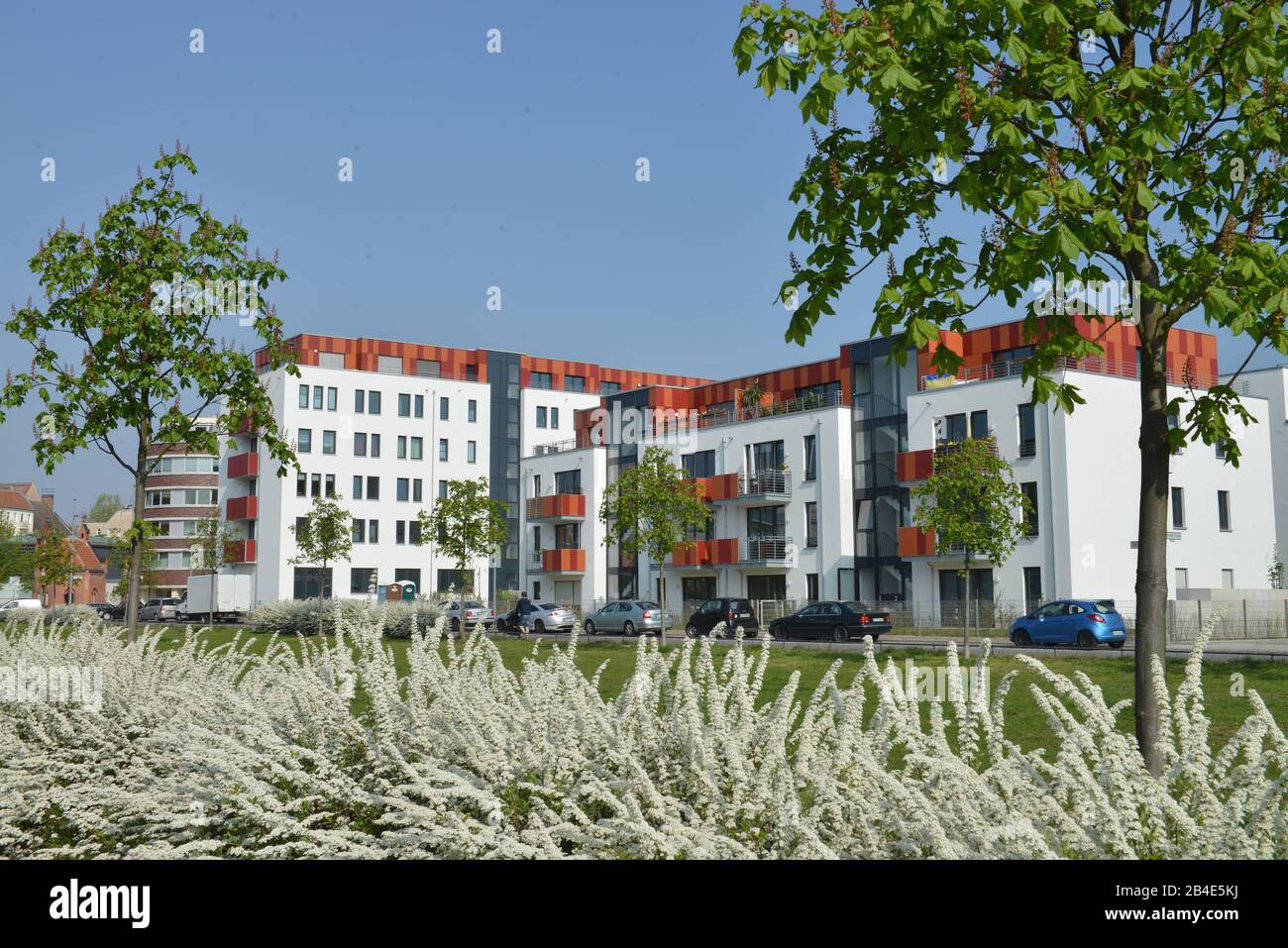 Neubauten, Zur Marktflagge, Alter Schlachthof, Prenzlauer Berg, Berlin, Allemagne Banque D'Images