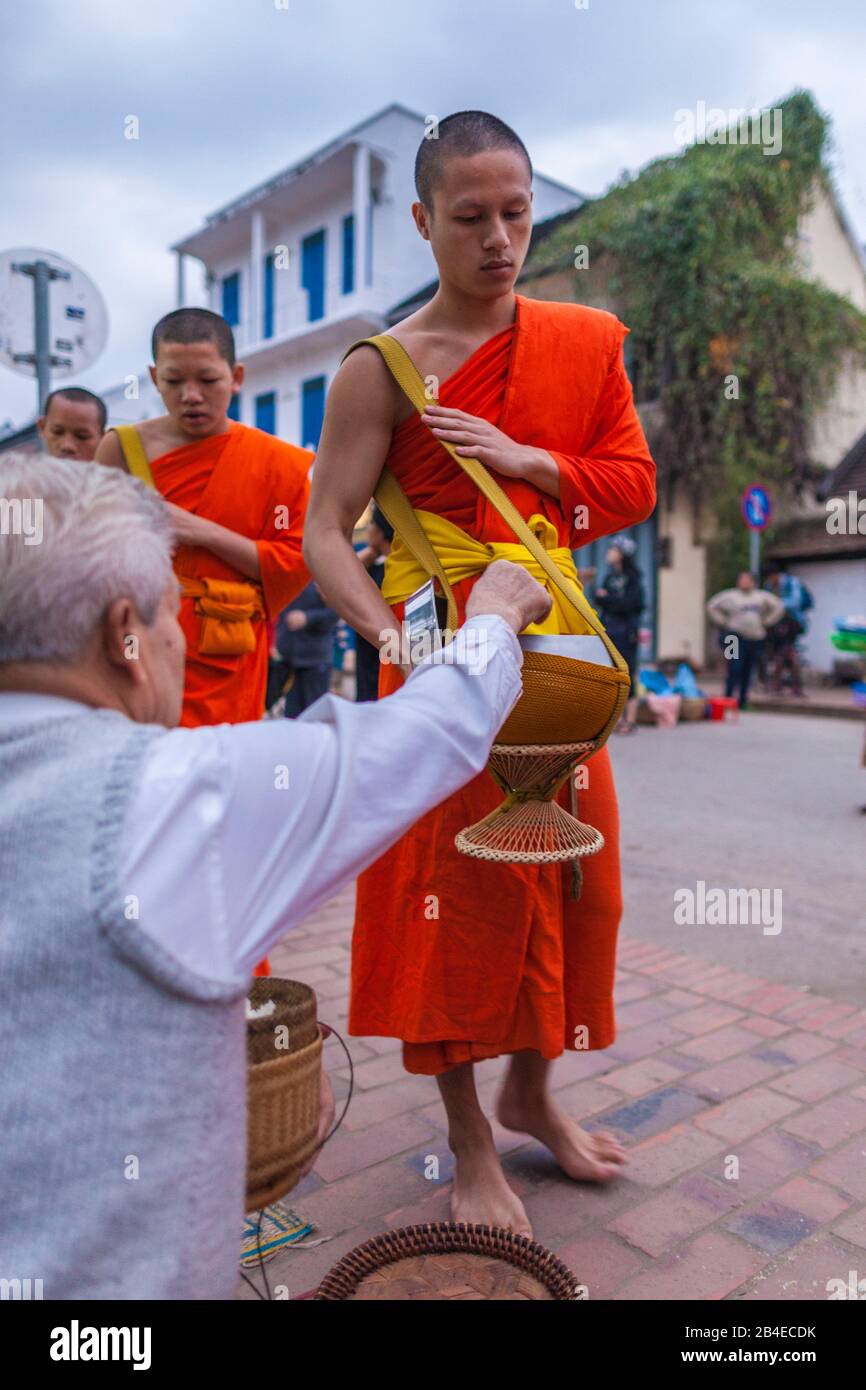 Laos, Luang Prabang, Tak Bat, procession à l'aube de moines bouddhistes collectant des ormes, pas de libération Banque D'Images